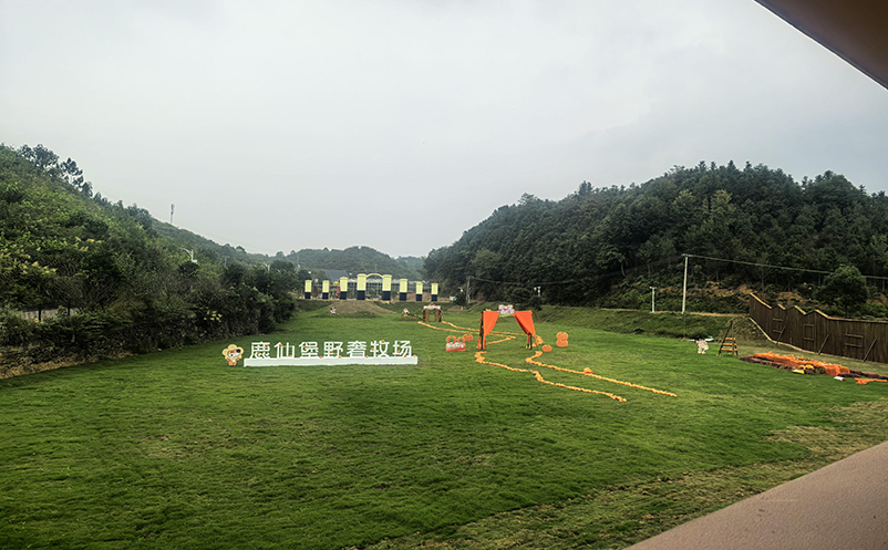 分时预约票务系统如何平衡客流与服务体验